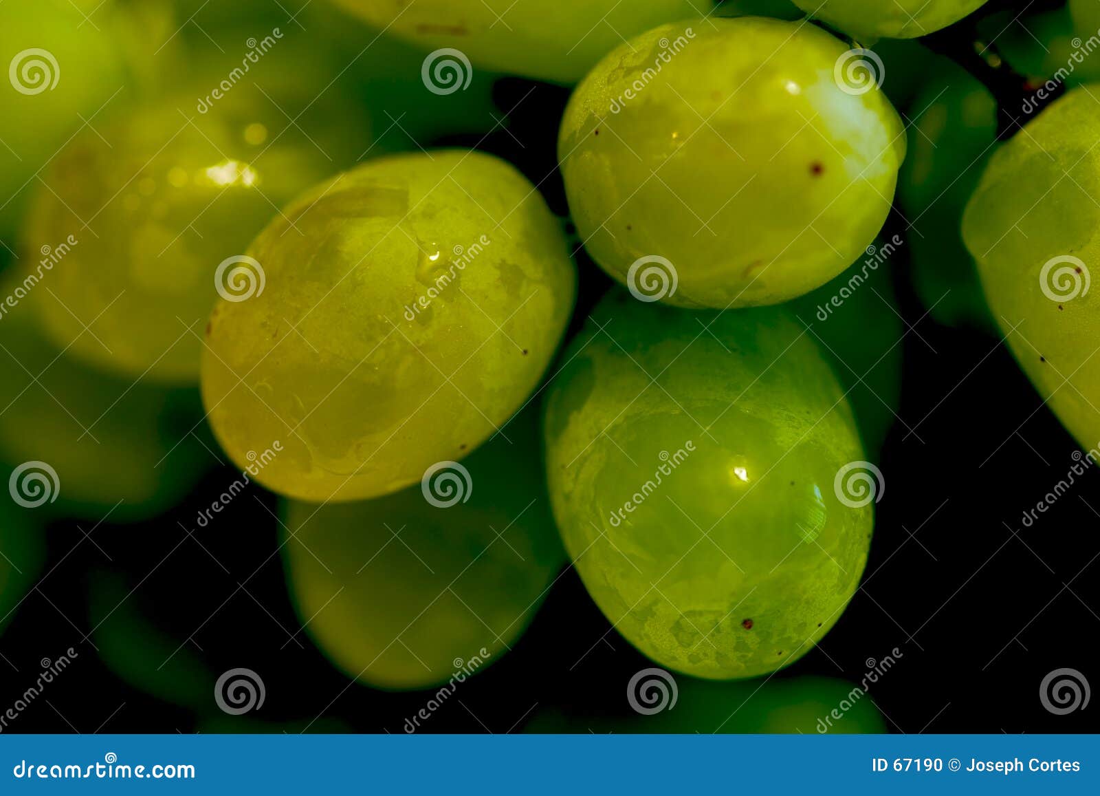 Close-up of some Green Grapes