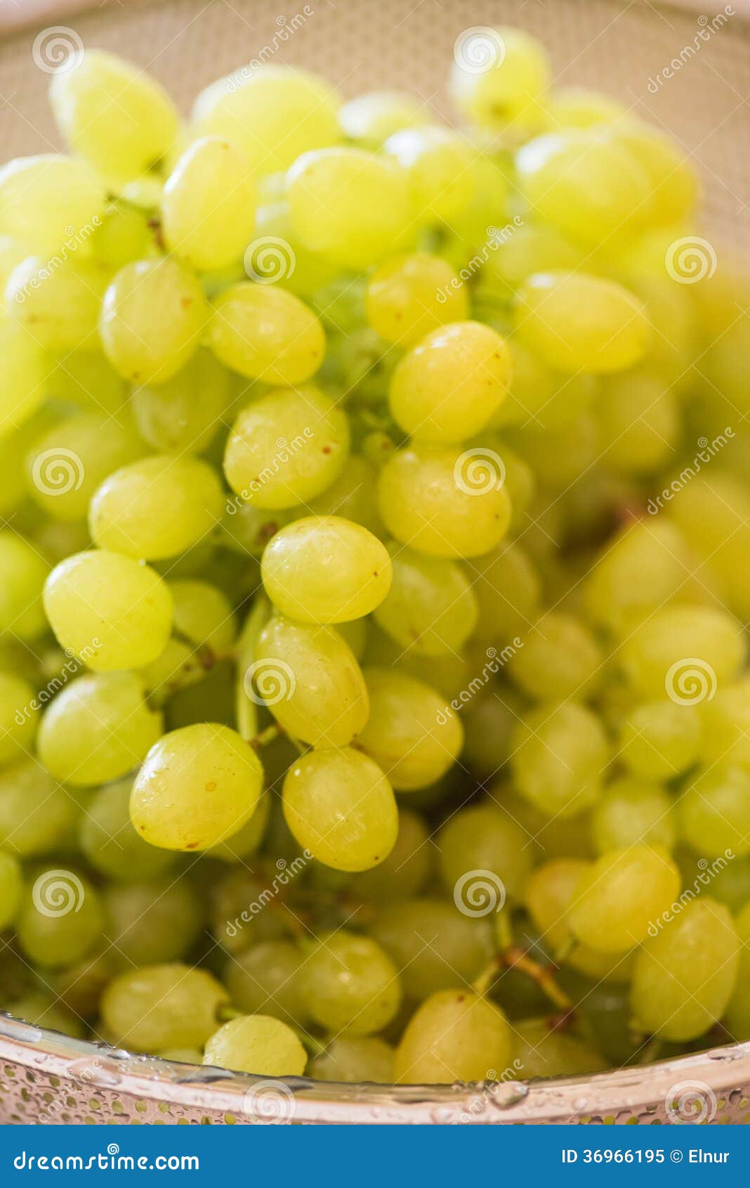 Green grapes stock image. Image of shopping, vegetarian 36966195