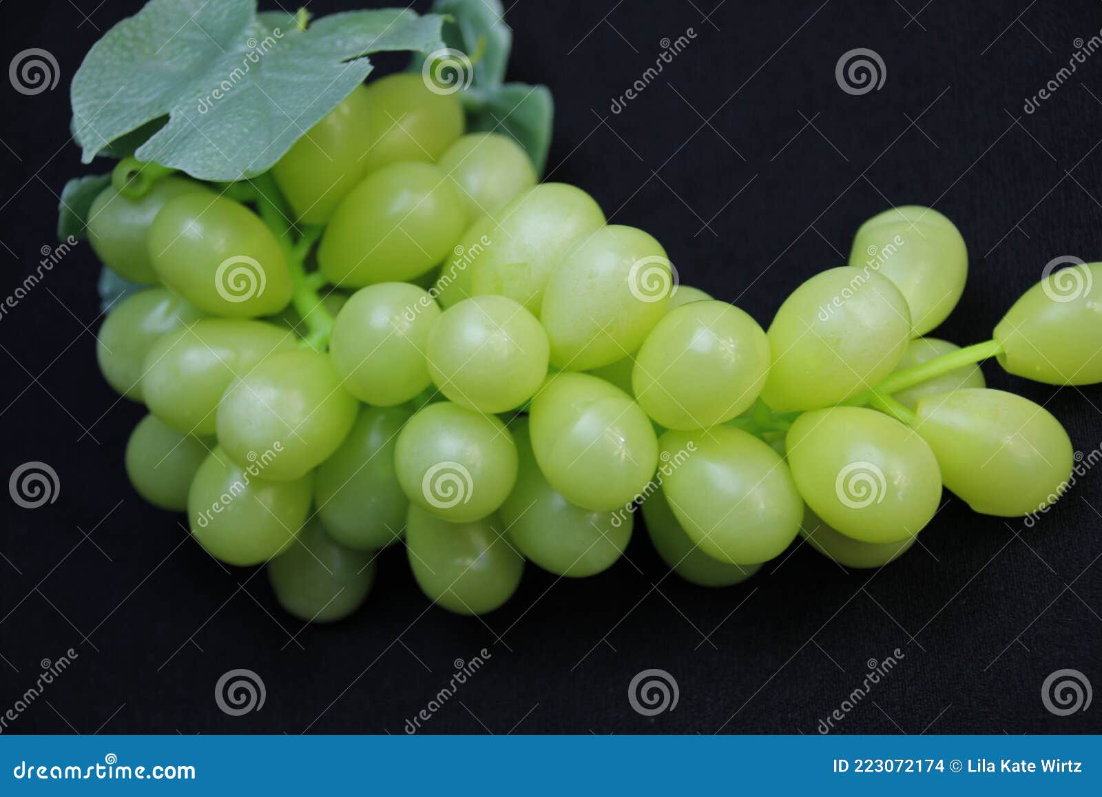 Green grapes stock photo. Image of making, fruit, wine 223072174