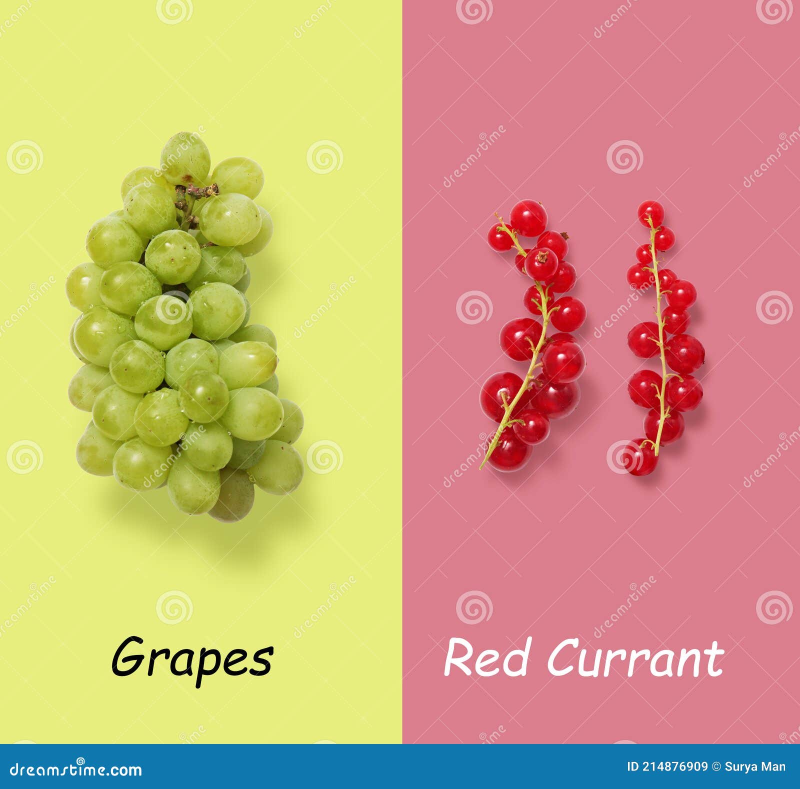 Green Grapes Vs Red Currant on Grey and Red Background Stock