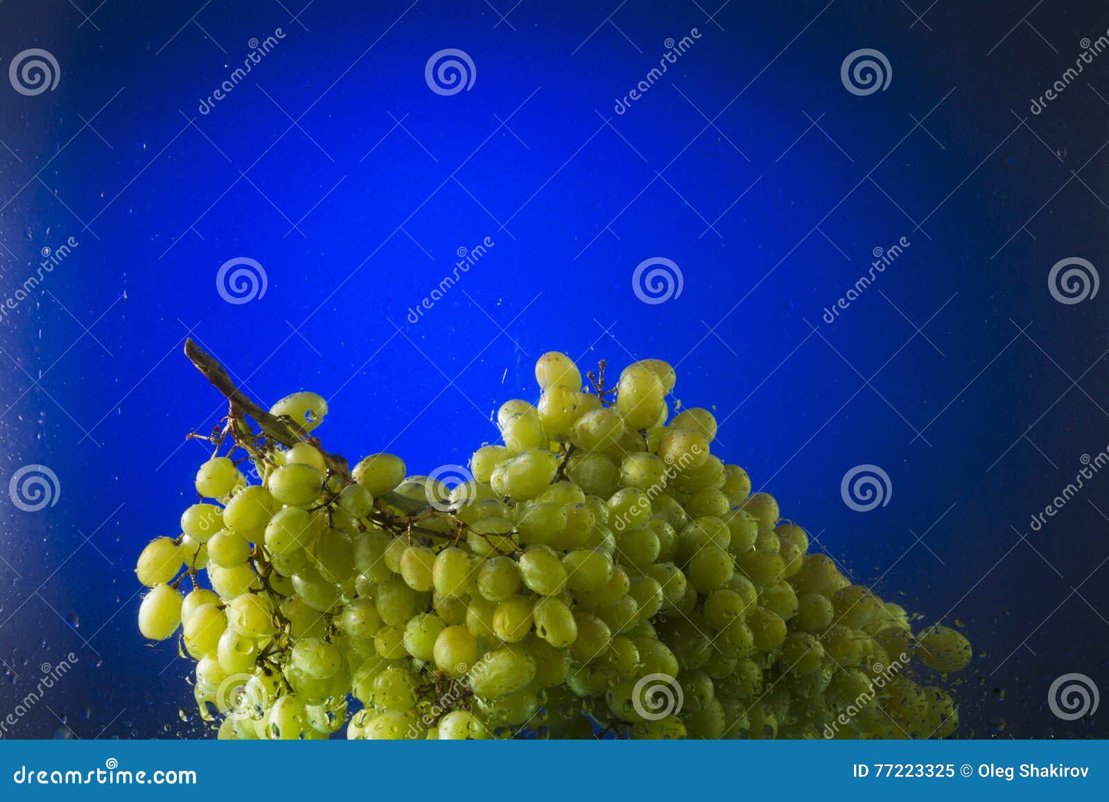 Green Grapes in Water on a Blue Background Stock Image Image of farming, highlight 77223325