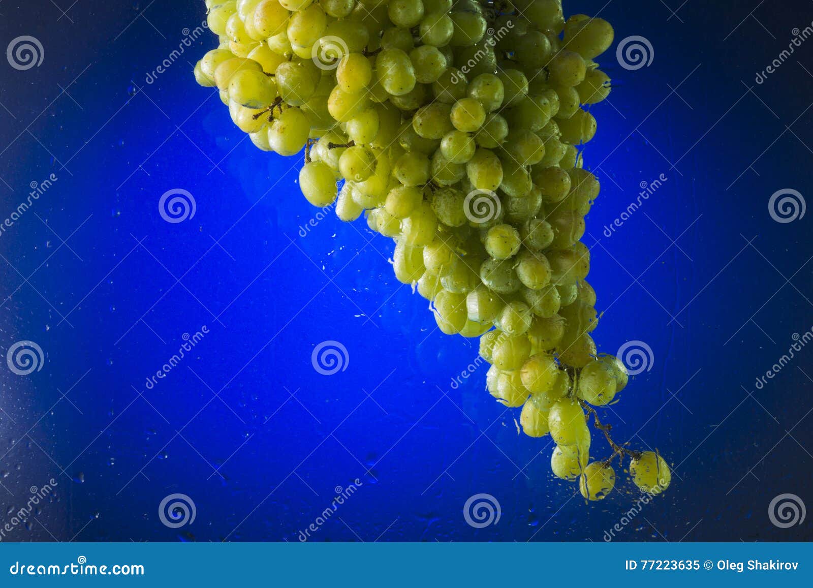 Green Grapes in Water on a Blue Background Stock Image Image of grapes, food 77223635