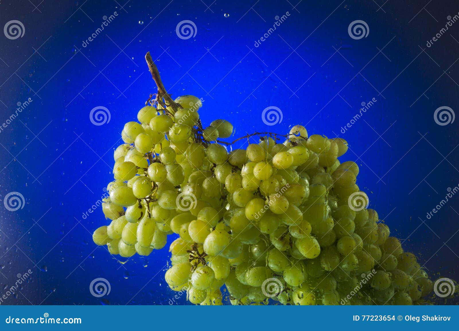 Green Grapes in Water on a Blue Background Stock Photo Image of flora, agribusiness 77223654