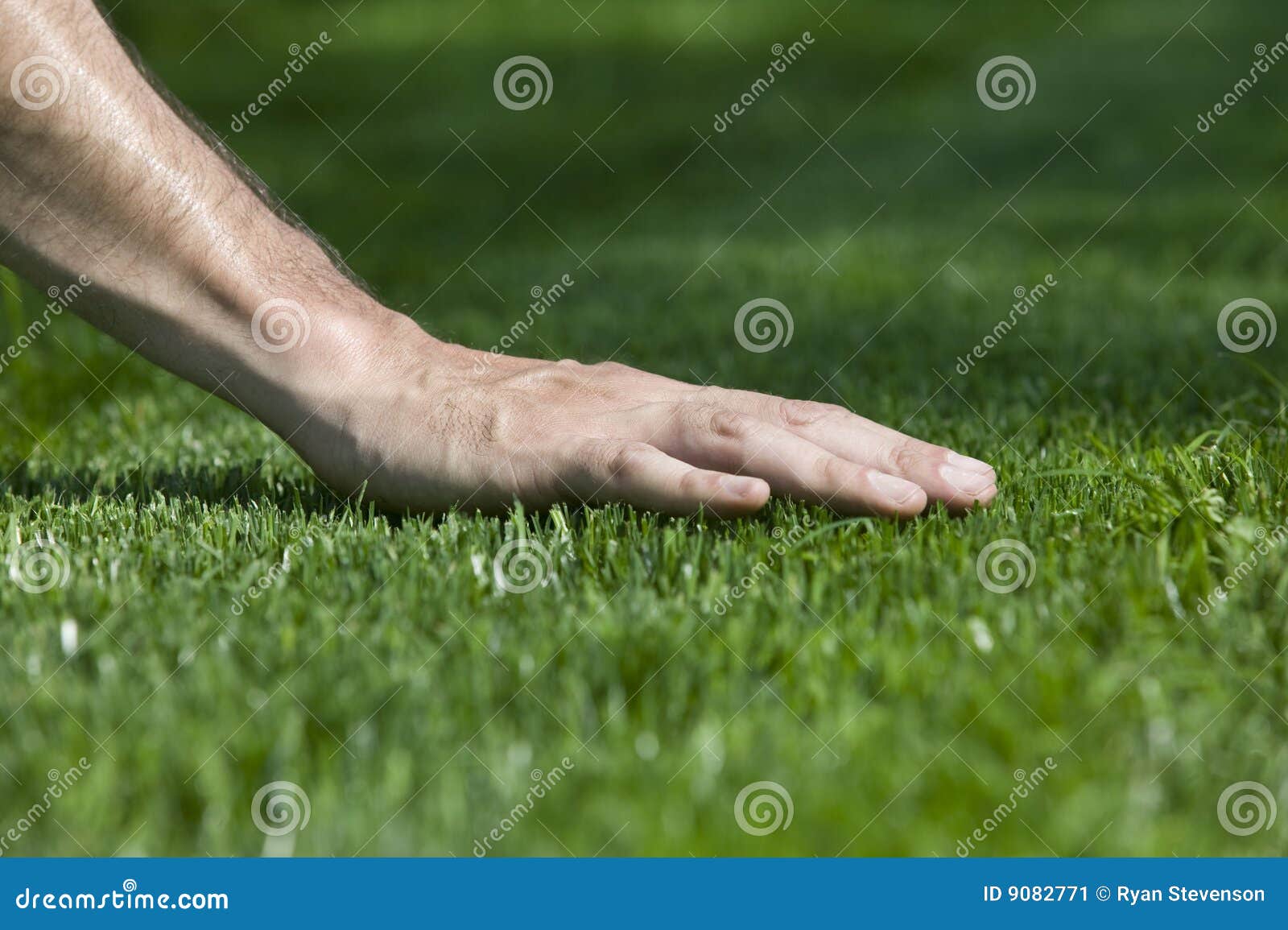 Hand Touching Grass At Summer Stock Photo, Picture and Royalty Free Image.  Image 82237401.