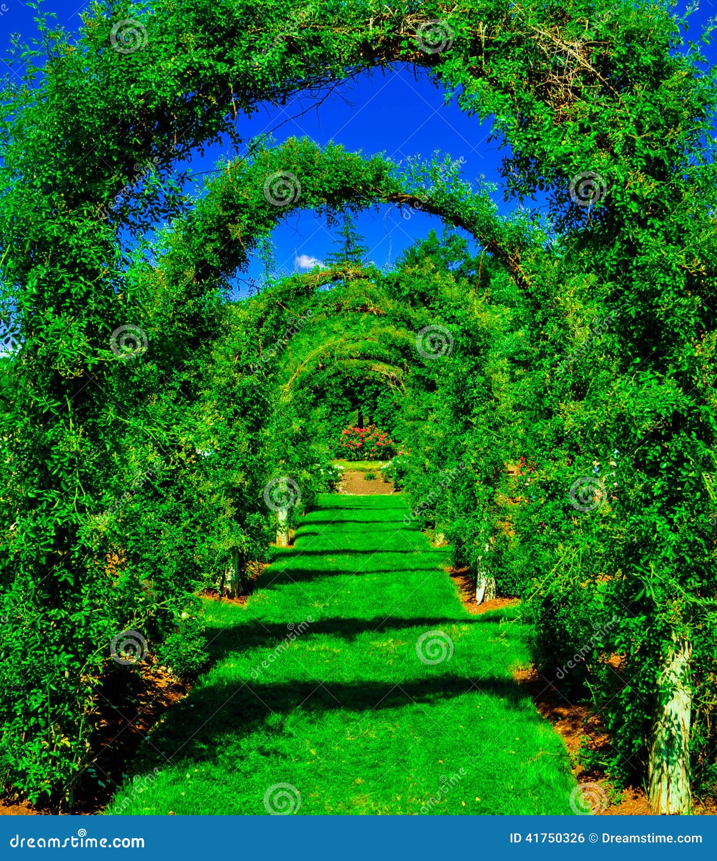 2,990 Green Grass Arches Photos - Free & Royalty-Free Stock Photos from ...