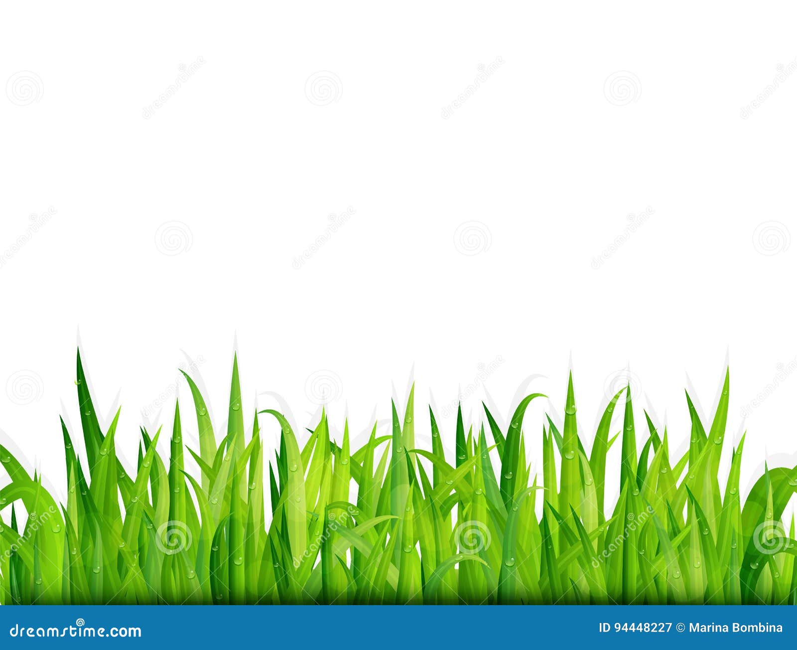 Green Grass Banner. Vector Background Stock Vector Illustration of