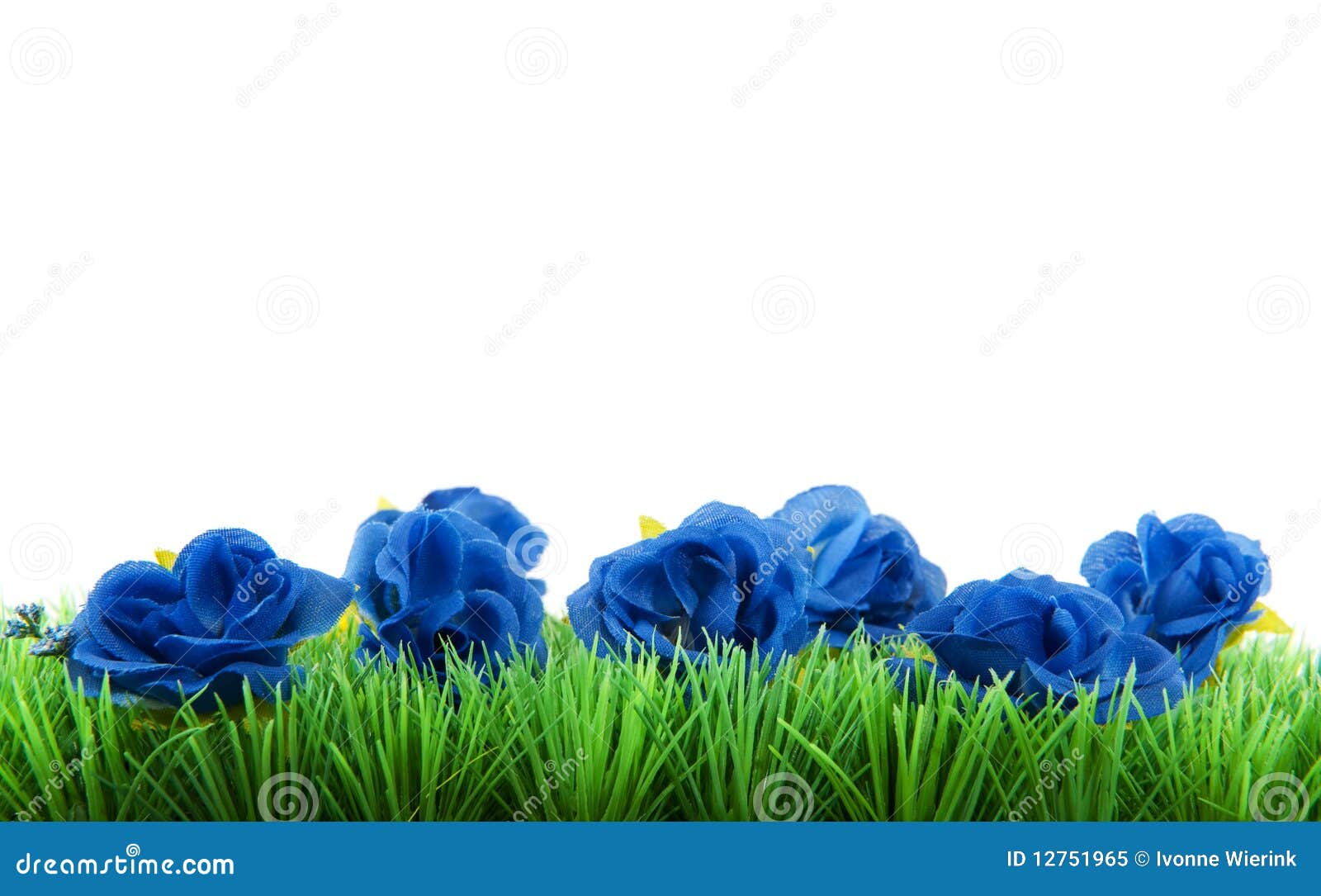 Green Grass with Blue Flowers Stock Image Image of summer, spring 12751965