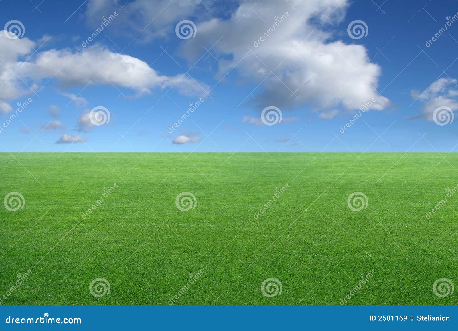 Green Grass And Blue Sky Stock Image Image Of Exotic