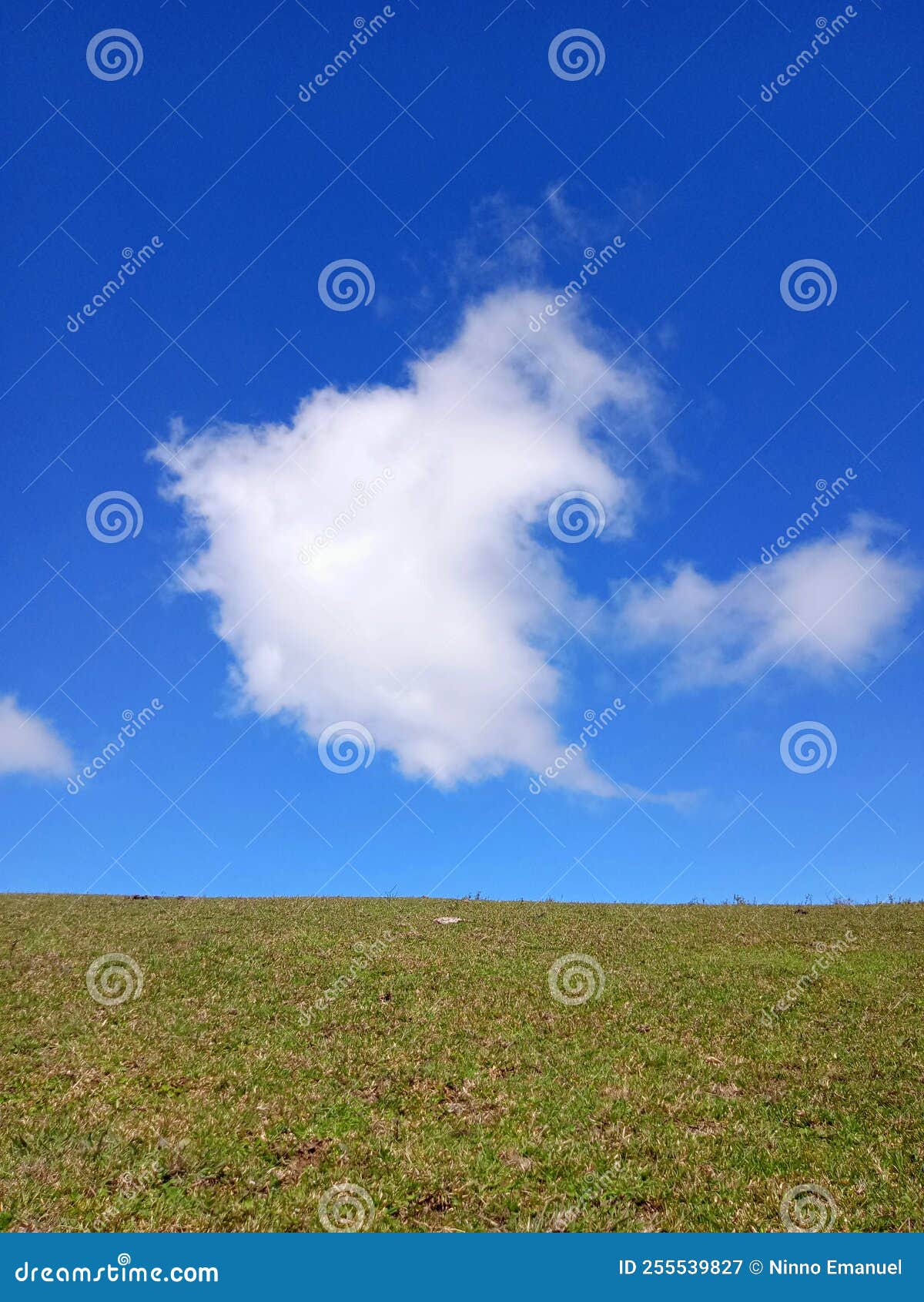 green grass, blue sky white cloud at fulan fehan atambua ntt