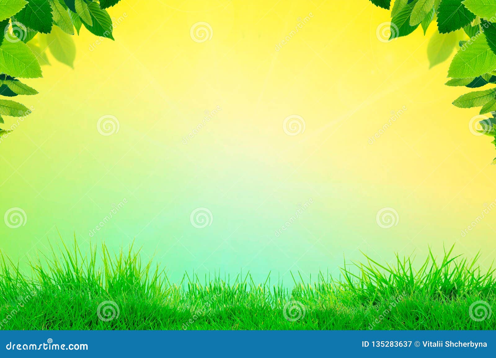 Green Grass with Blur Park Green Nature Background Bokeh Light,Mock Up for  Display or Montage of Product,Banner or Header for Stock Image - Image of  sunny, empty: 135283637