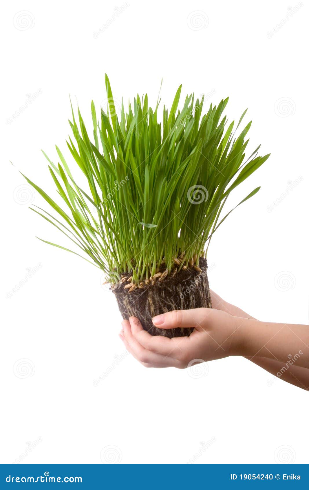 Kids Five Fingers On Green Grass Stock Photo 2244762075