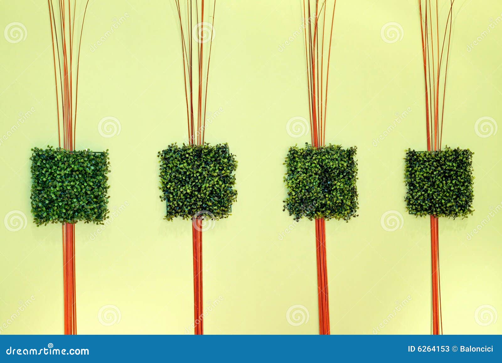 Green Grass Decor Stock Photos Image 6264153 Green Grass Decor Stock Photos Image 6264153