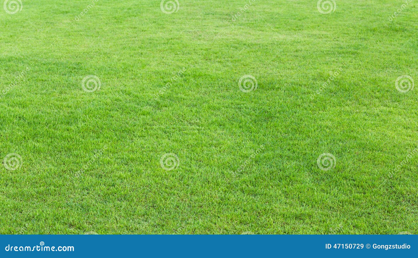 Green Grass Field Background Stock Image - Image of land, meadow: 47150729