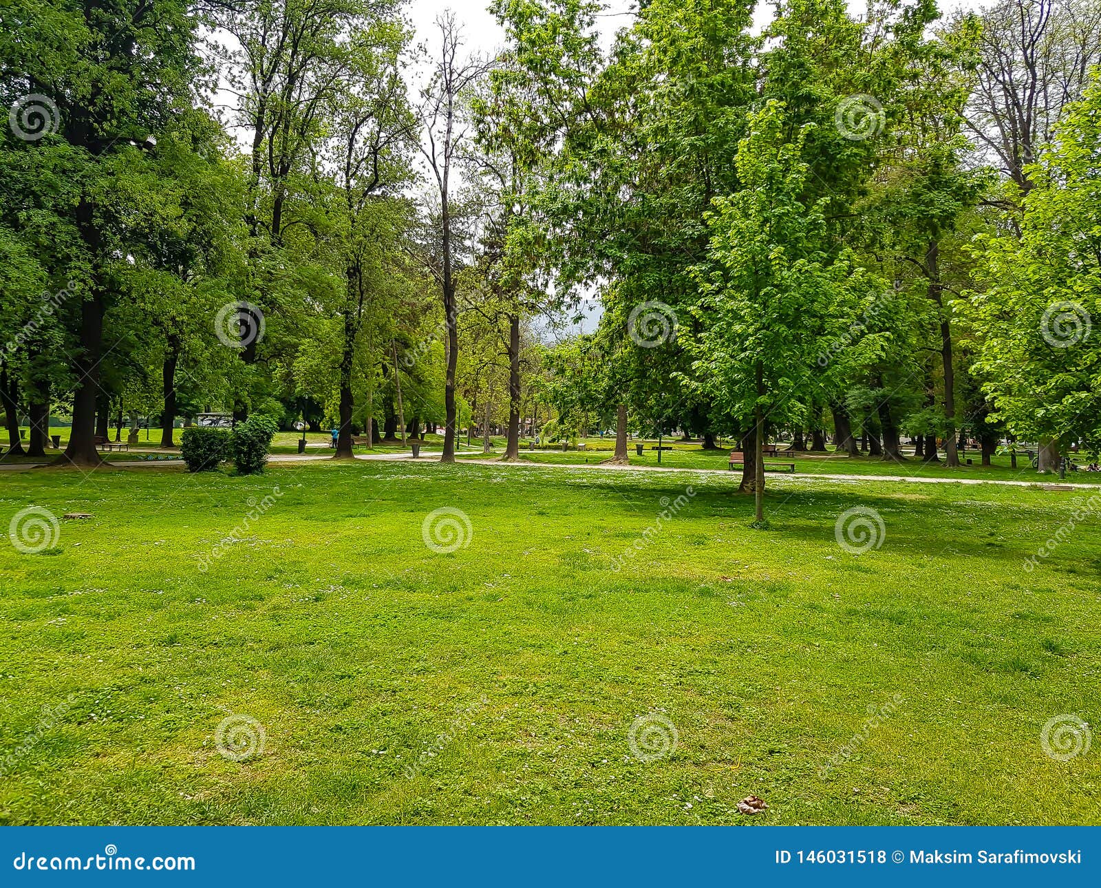 Green Grass Field in Big City Park Stock Photo - Image of park, garden ...