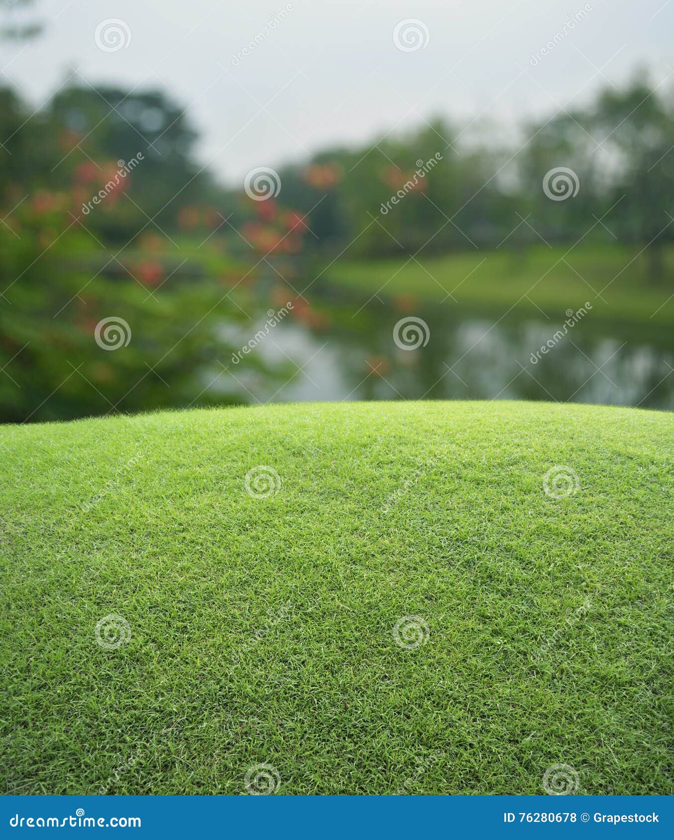 Green Grass Field With Blur Of Red Flower And Tree In ...