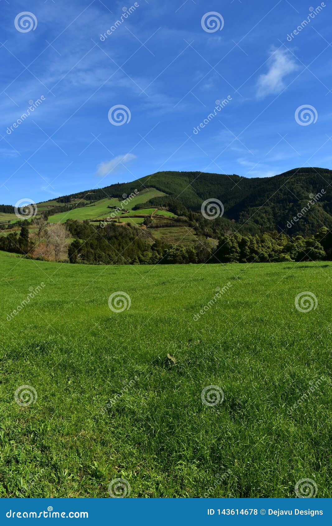 Green Grass Field with Rolling Hills and Pastures Stock Photo - Image