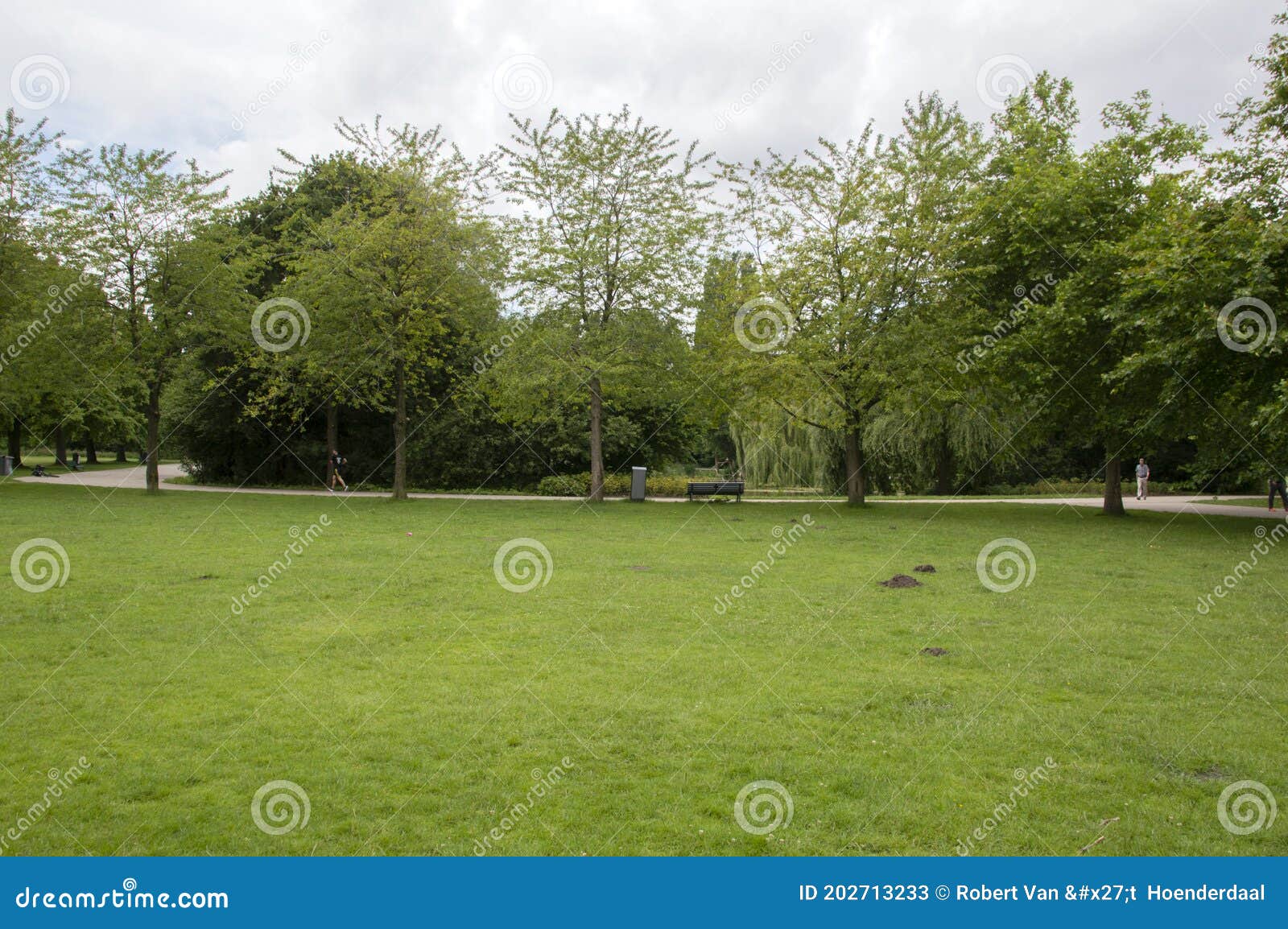 Green Grass at the Flevopark at Amsterdam the Netherlands 18-6-2020 ...