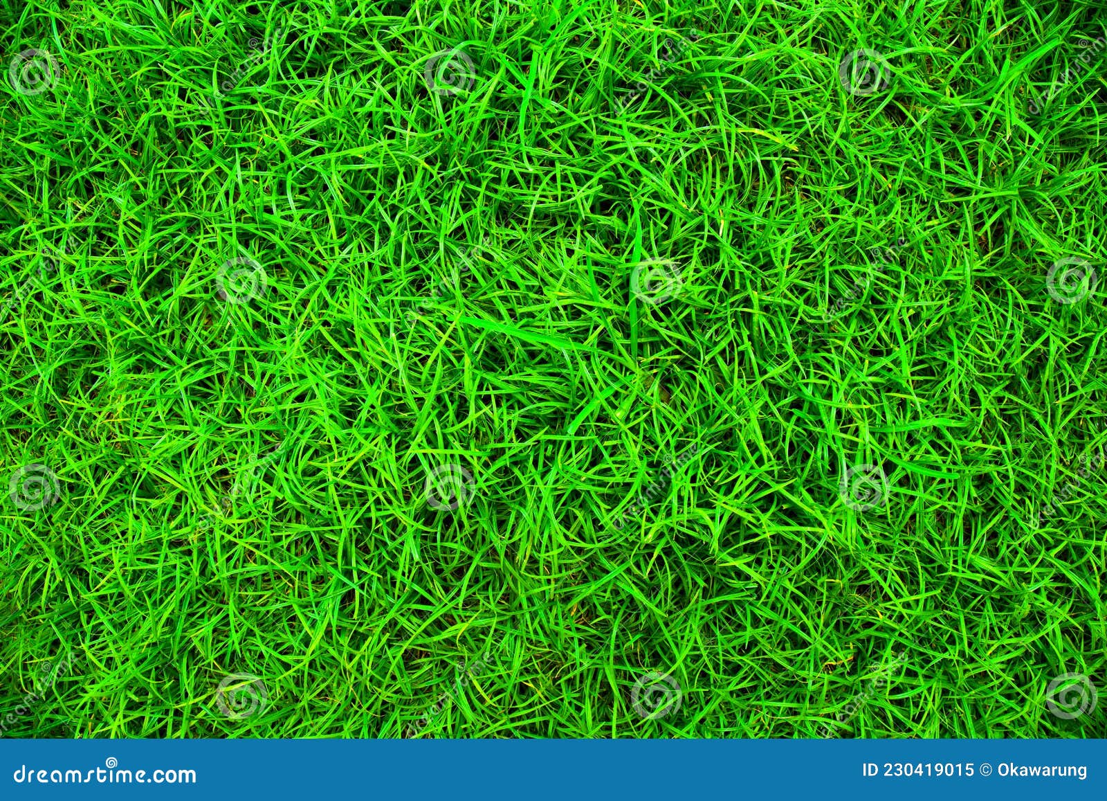 Green Grass Floor Texture Ideal for Use in the Design Backgroung Stock