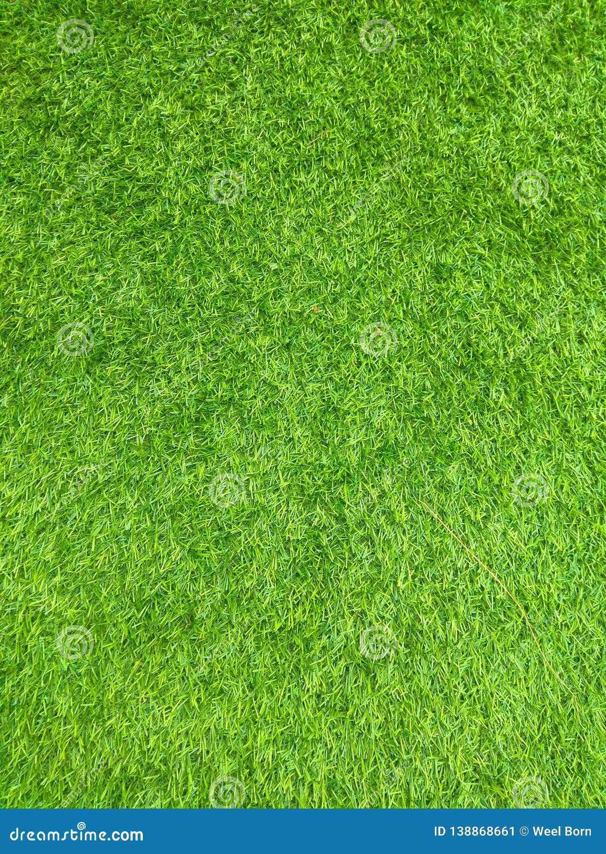 Green Grass Floor Texture Stock Image Image Of Backdrop