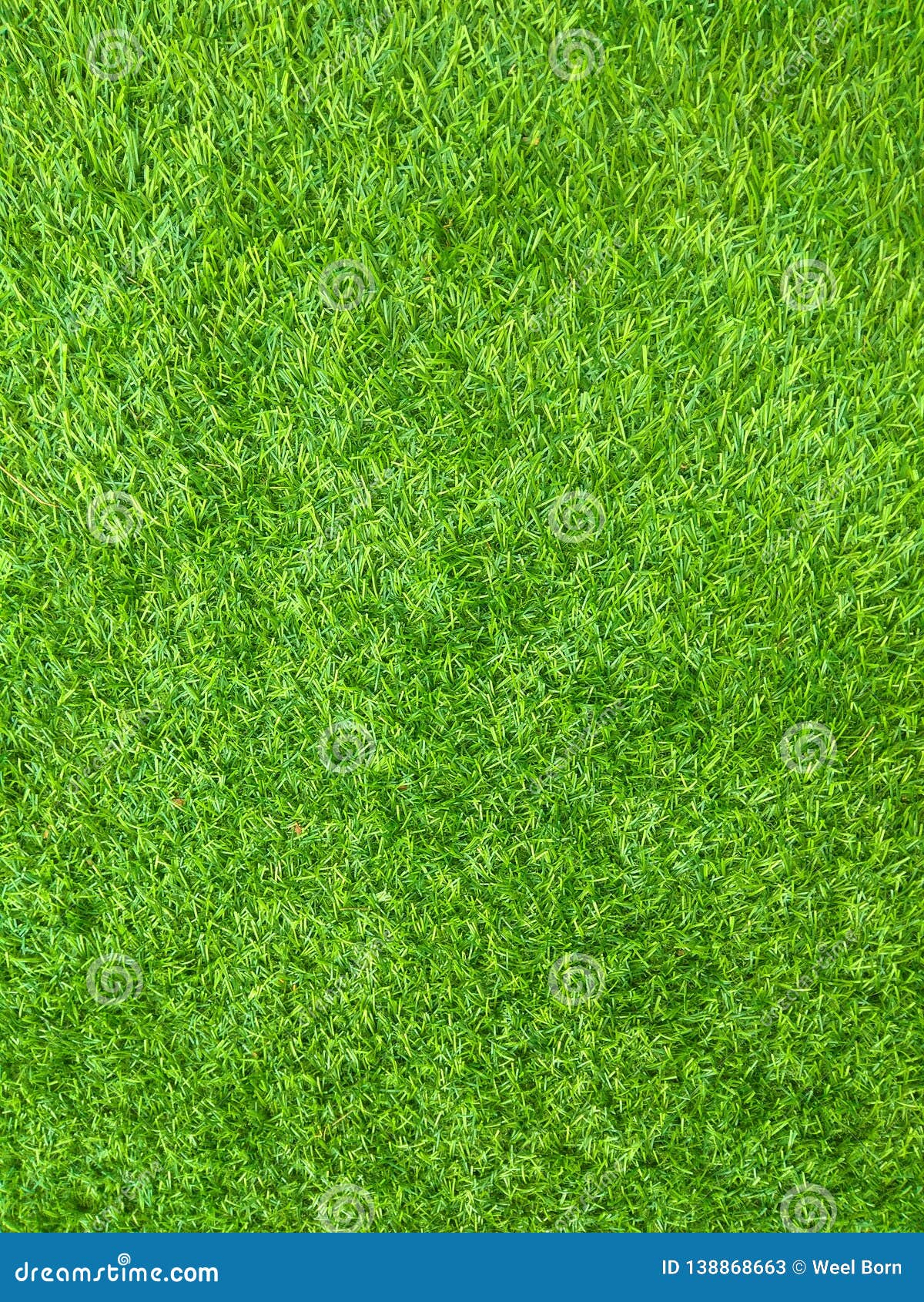 Green Grass Floor Texture Stock Image Image Of Formica