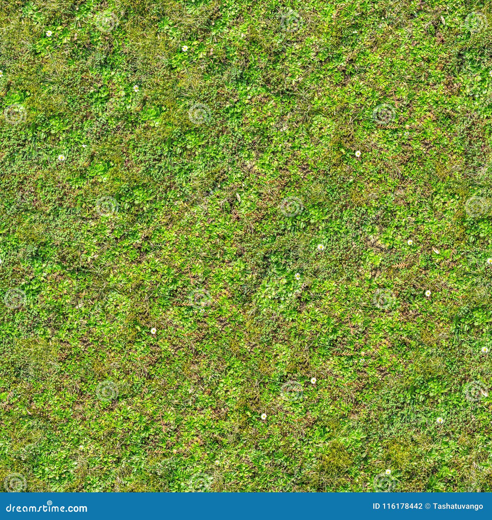seamless grass texture tiles seamless grass texture tiles