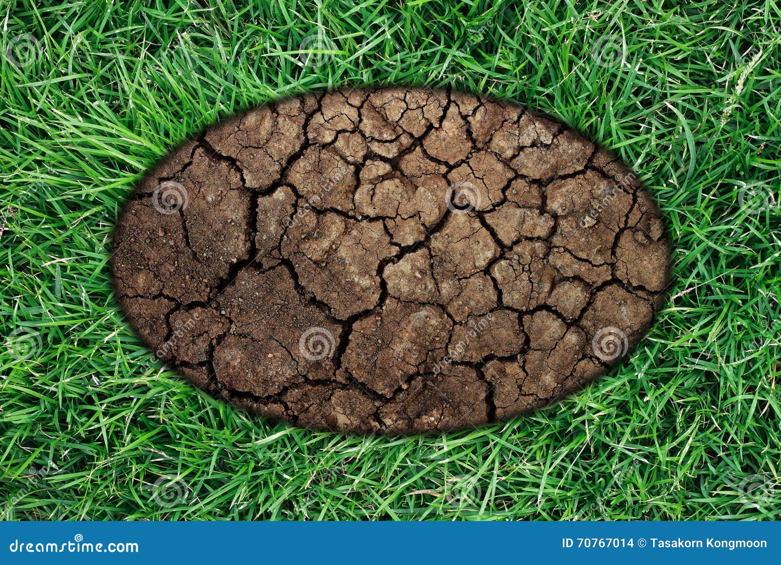 Green Grass Frame with Dry Soil Stock Photo Image of environment