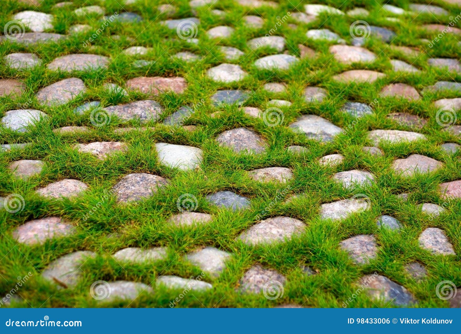 847 Rope Made Grass Stock Photos - Free & Royalty-Free Stock Photos from  Dreamstime