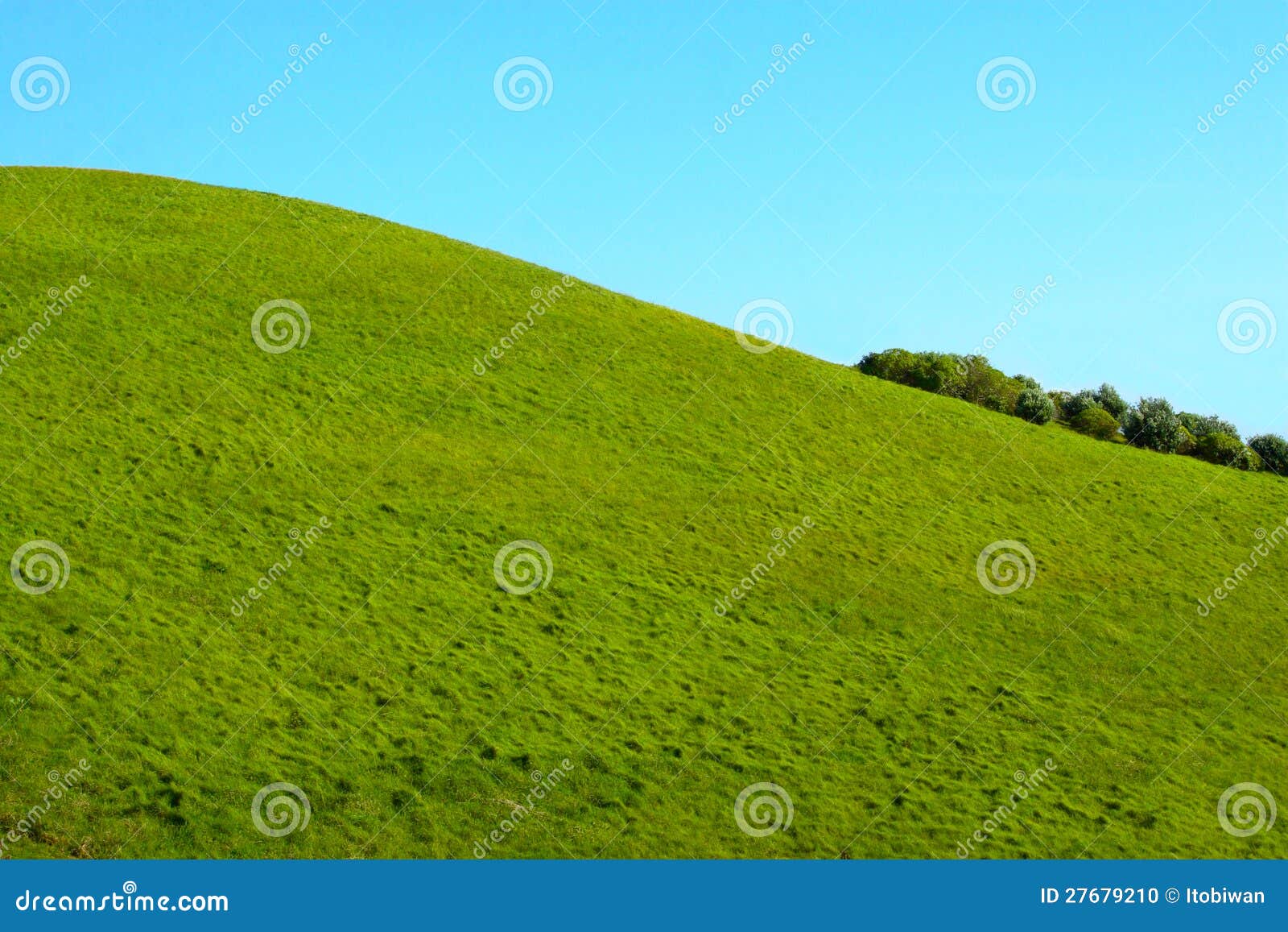 Green Grass Hill Stock Photo Image 27679210