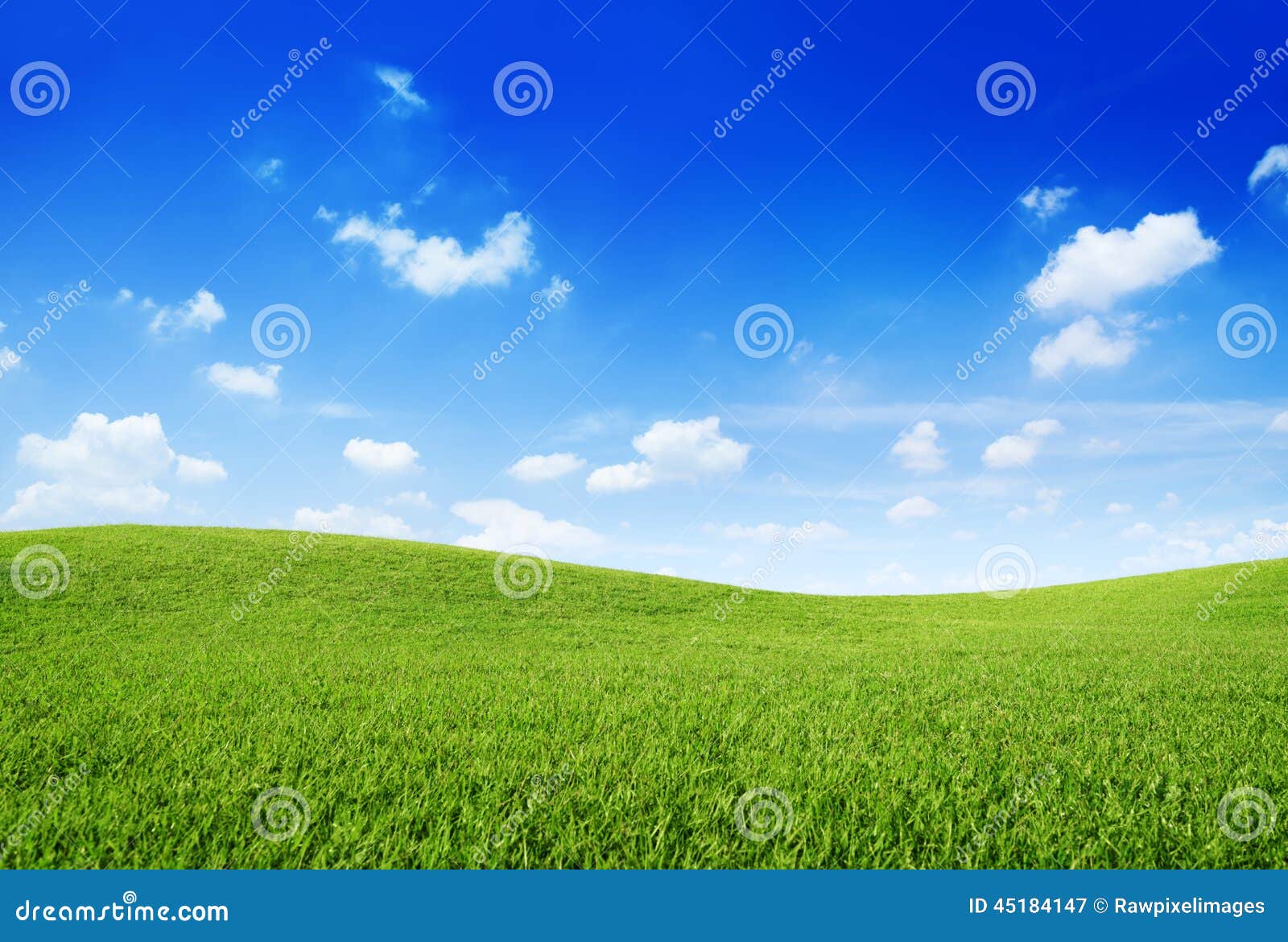 green grass hill and clear blue sky
