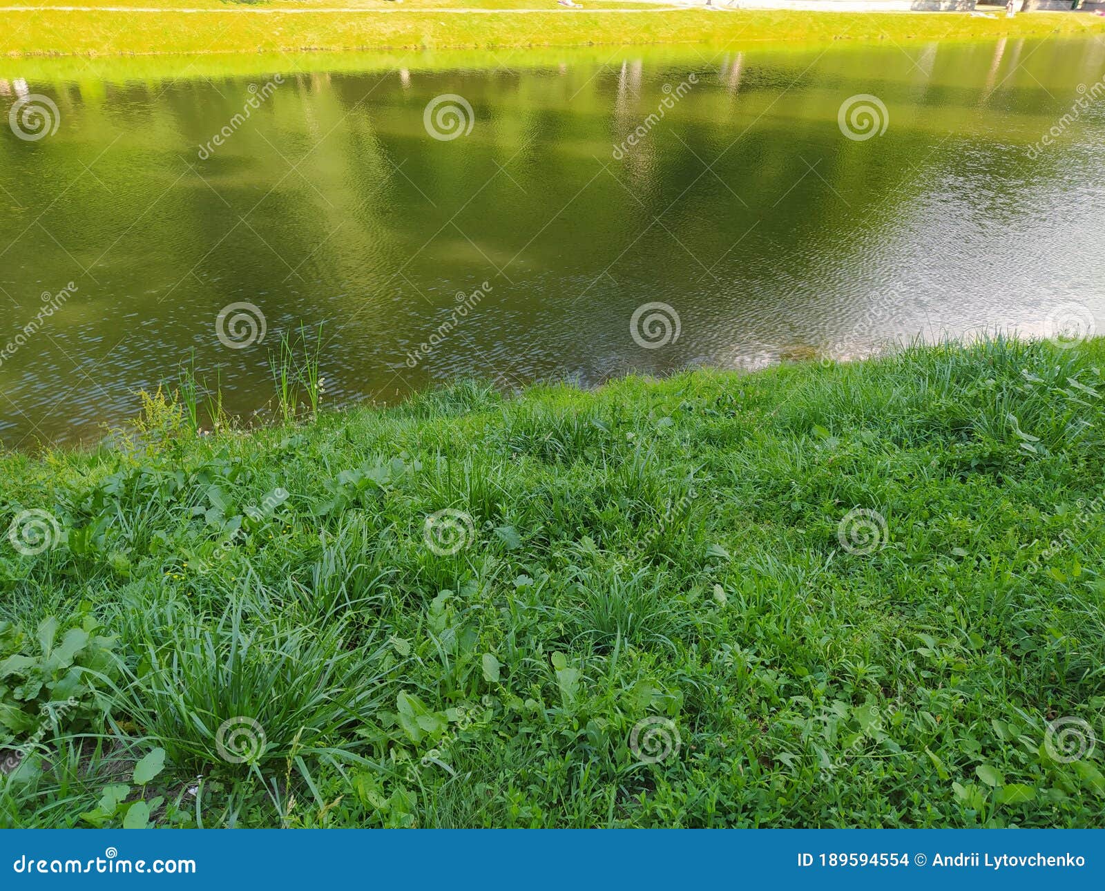Green grass and lake stock photo. Image of green, grassland 189594554