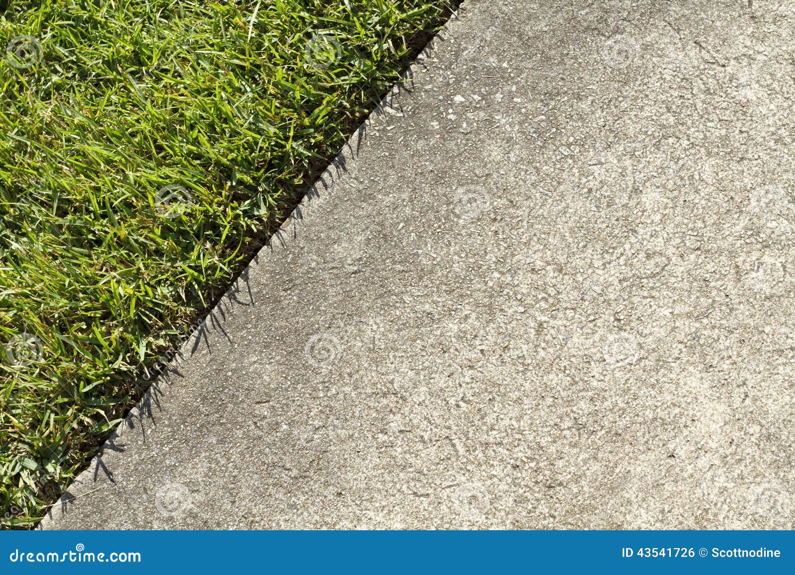 green grass lawn and a concrete sidewalk edge meet