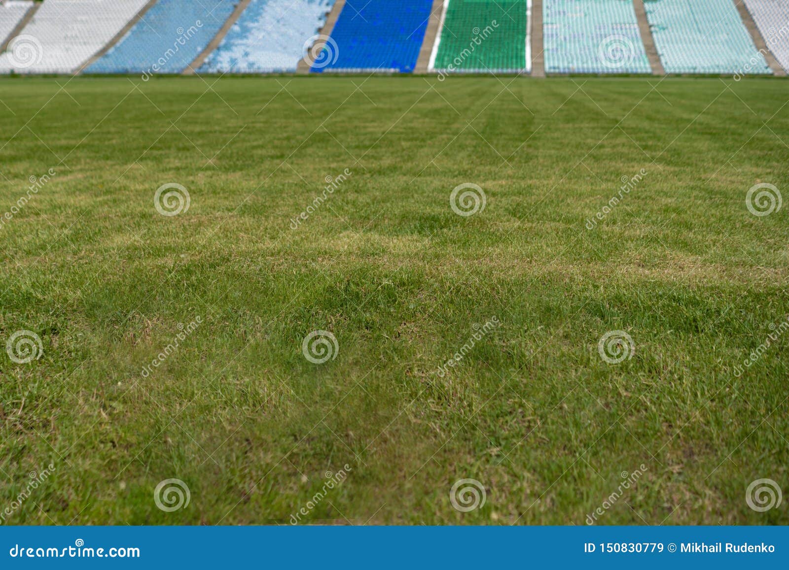 Download Green Grass Lawn Field On The Open Air Stadium Copy Space ...