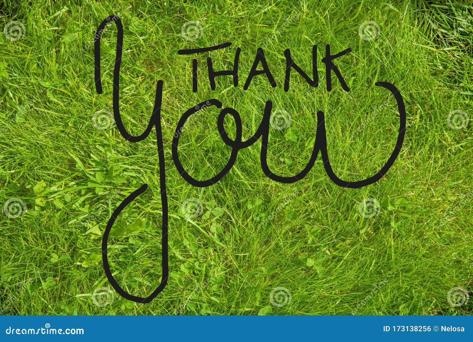 Green Grass Lawn or Meadow, Calligraphy Thank You Stock Photo ...