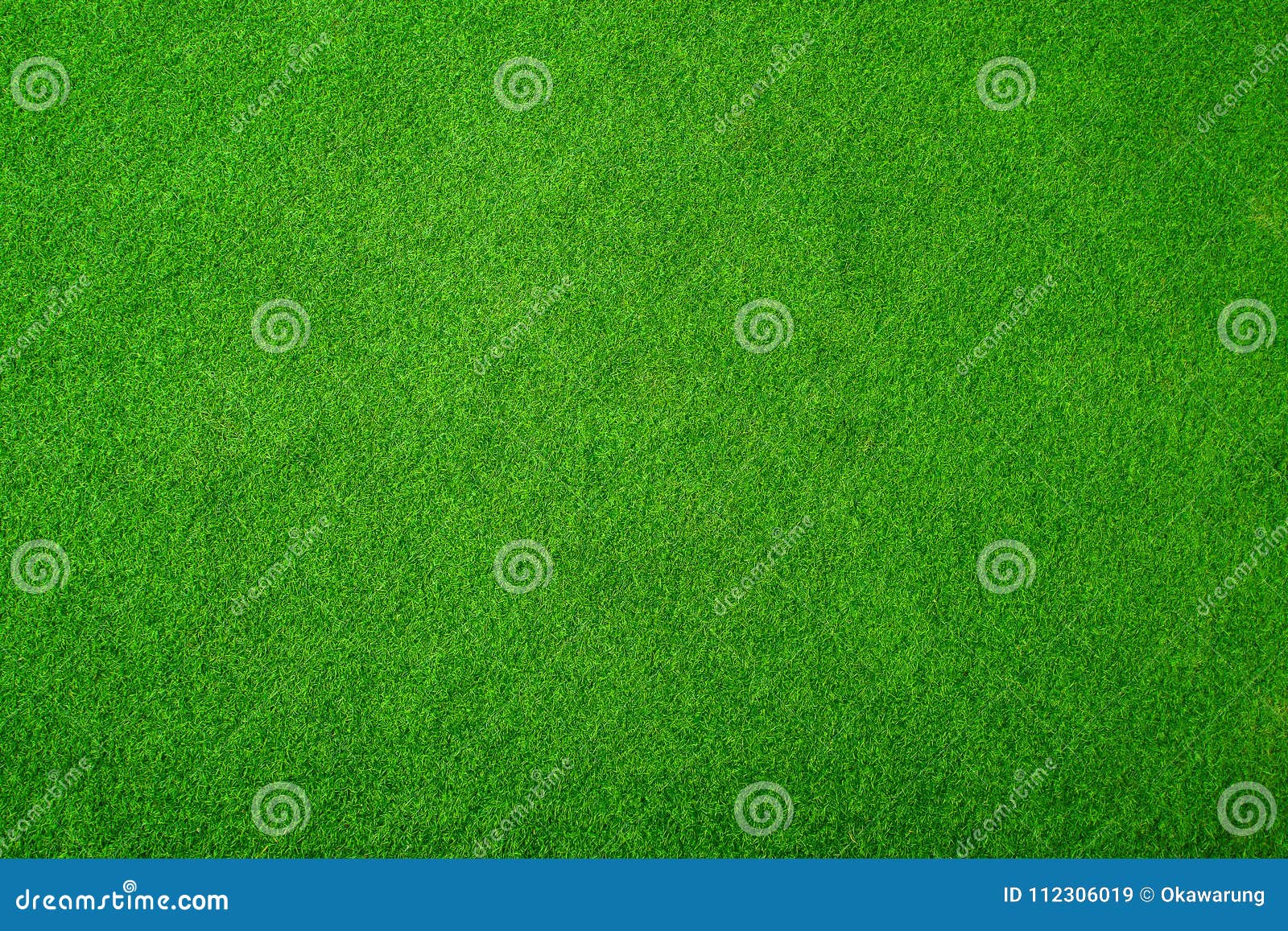 green grass floor texture/green grass background vignette or the naturally walls texture ideal for use in the  fairly.