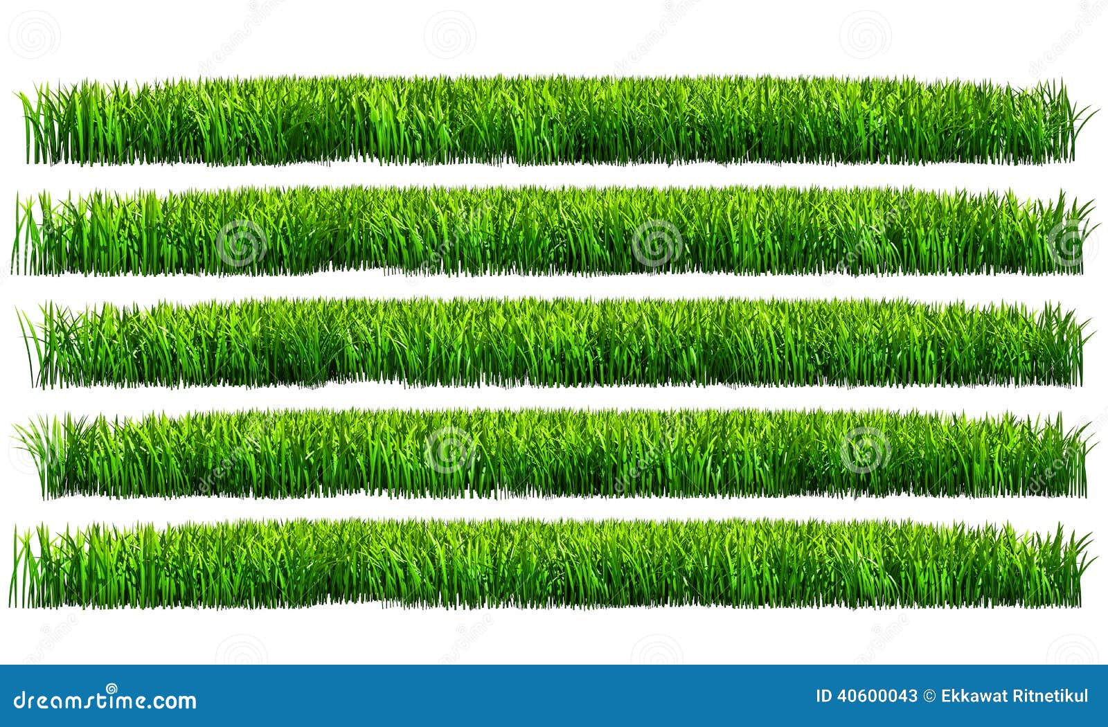 Green Grass, PNG Transparent Background Stock Image - Illustration of grass,  spring: 40600043