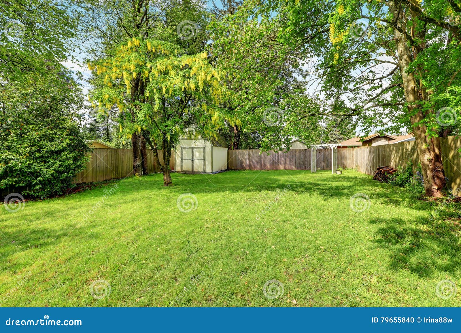 green grass and a shed in empty fenced back yard