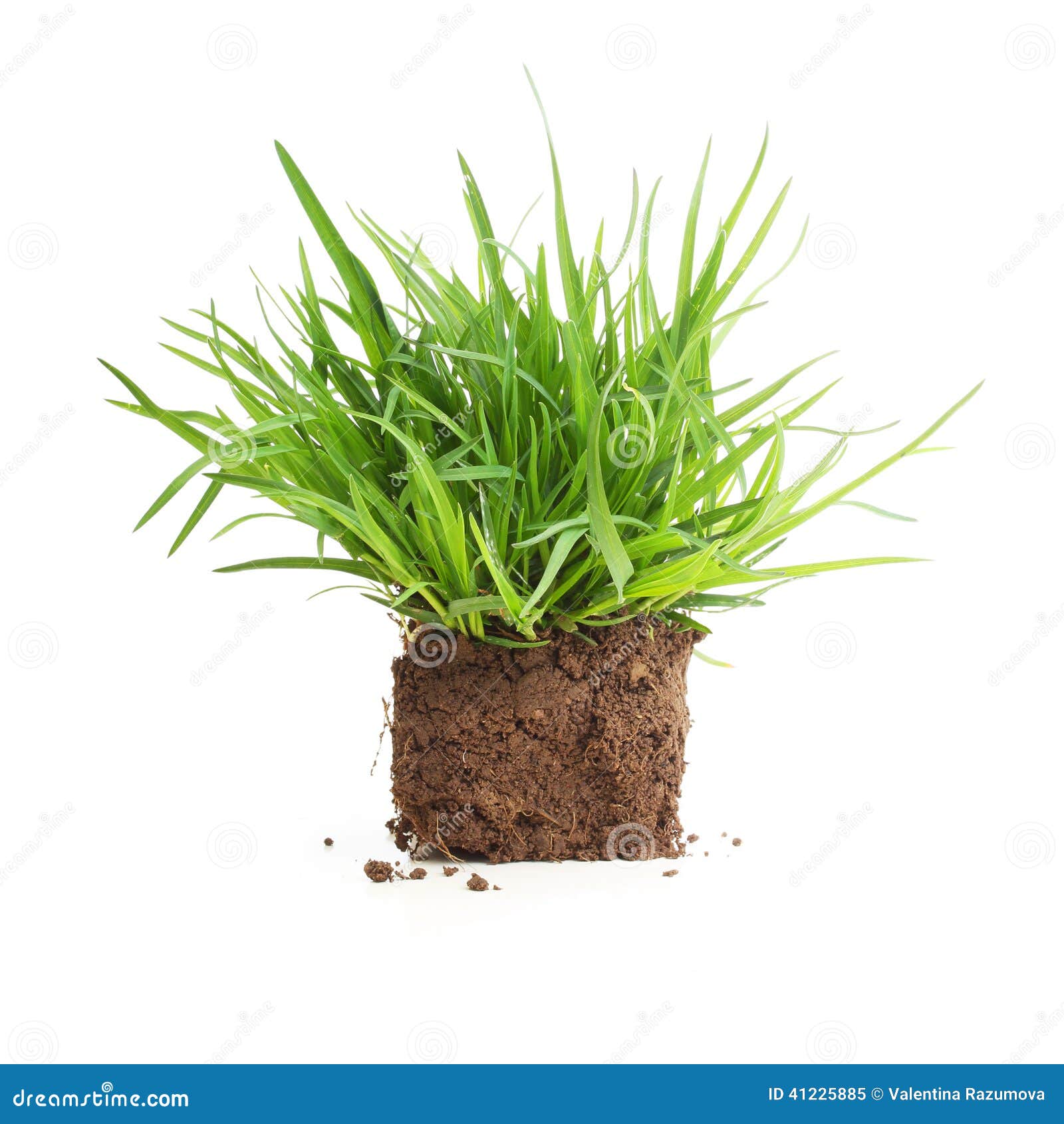 My Image 15