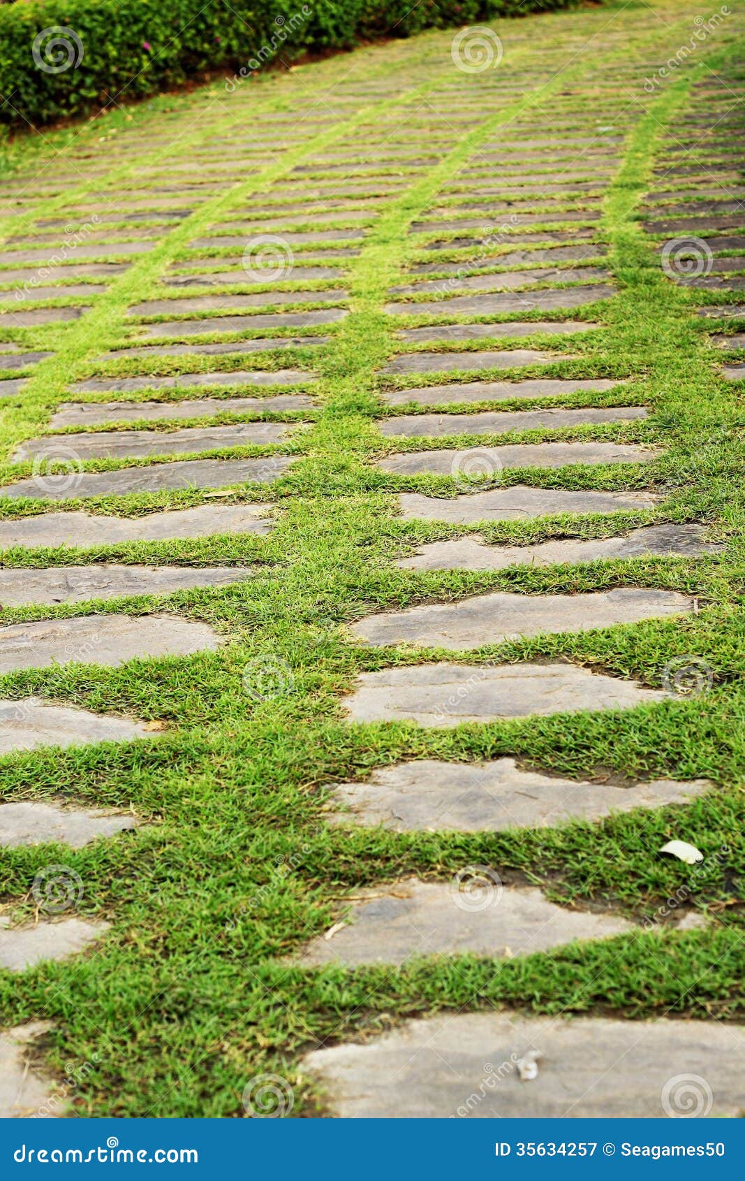 Green Grass and Stones in Nature Stock Image Image of stone, backyard