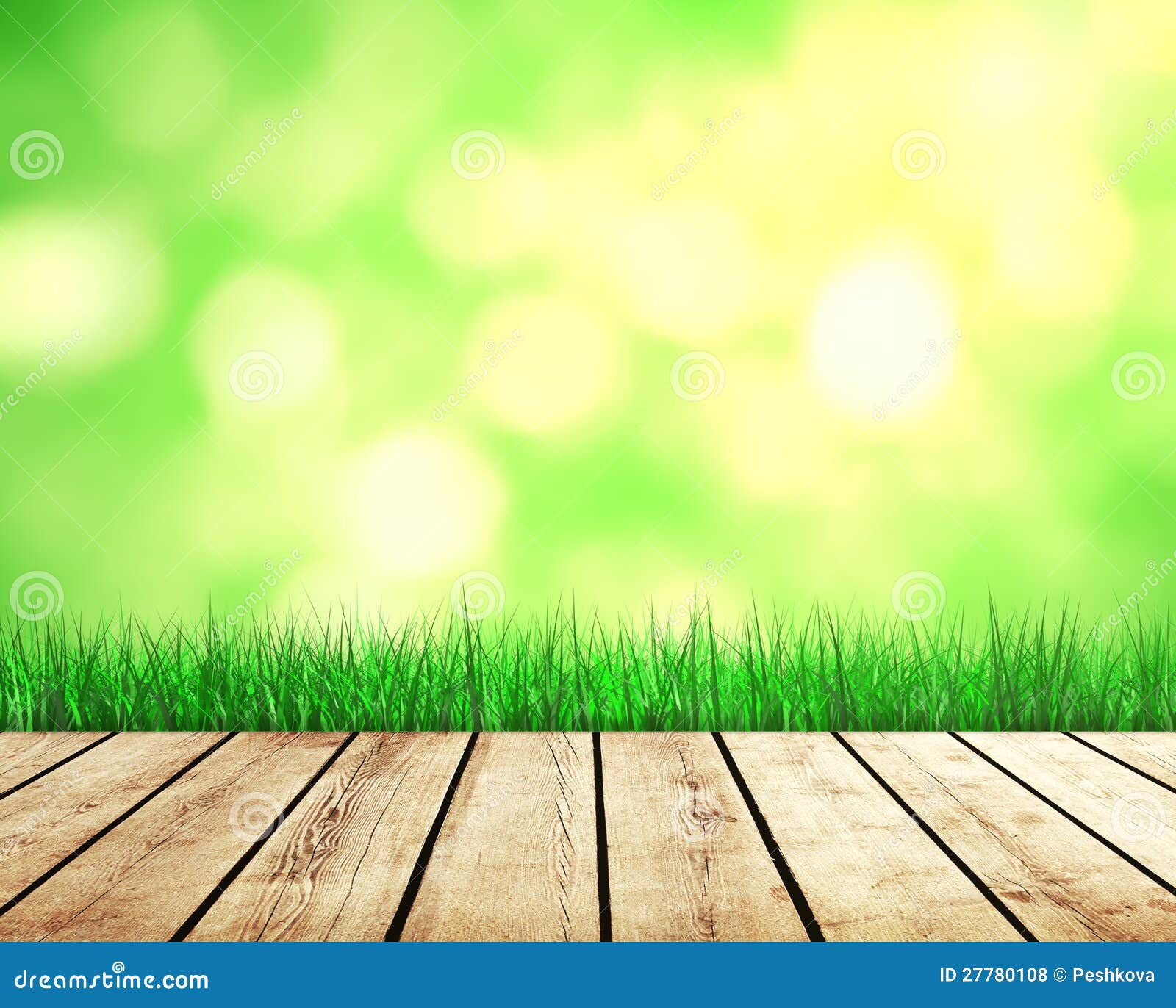 Beautiful nature background with green grass and sunlight