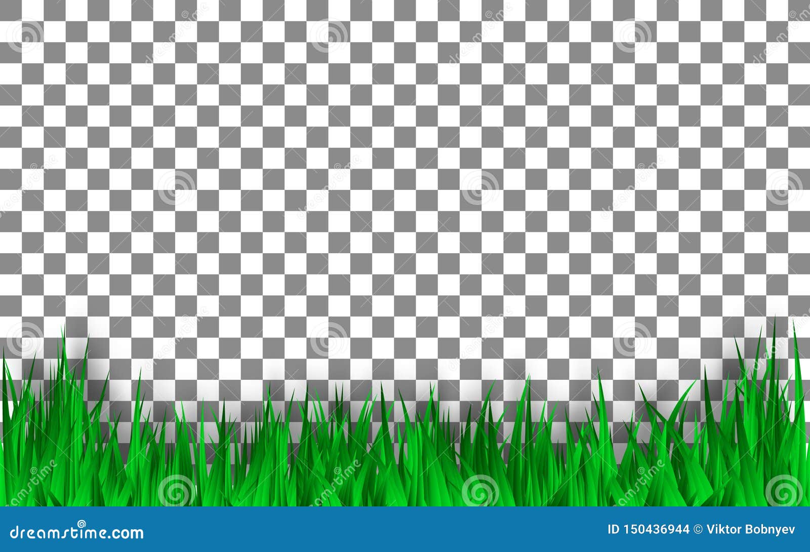 Green Grass Template on Transparent Background. Vector Design. Stock