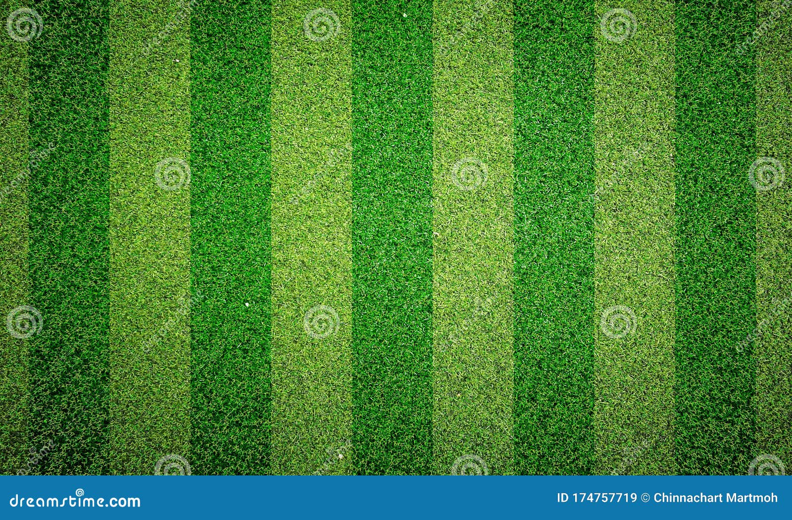 Green Grass Texture Background, Green Lawn, Backyard for Wallpaper ...