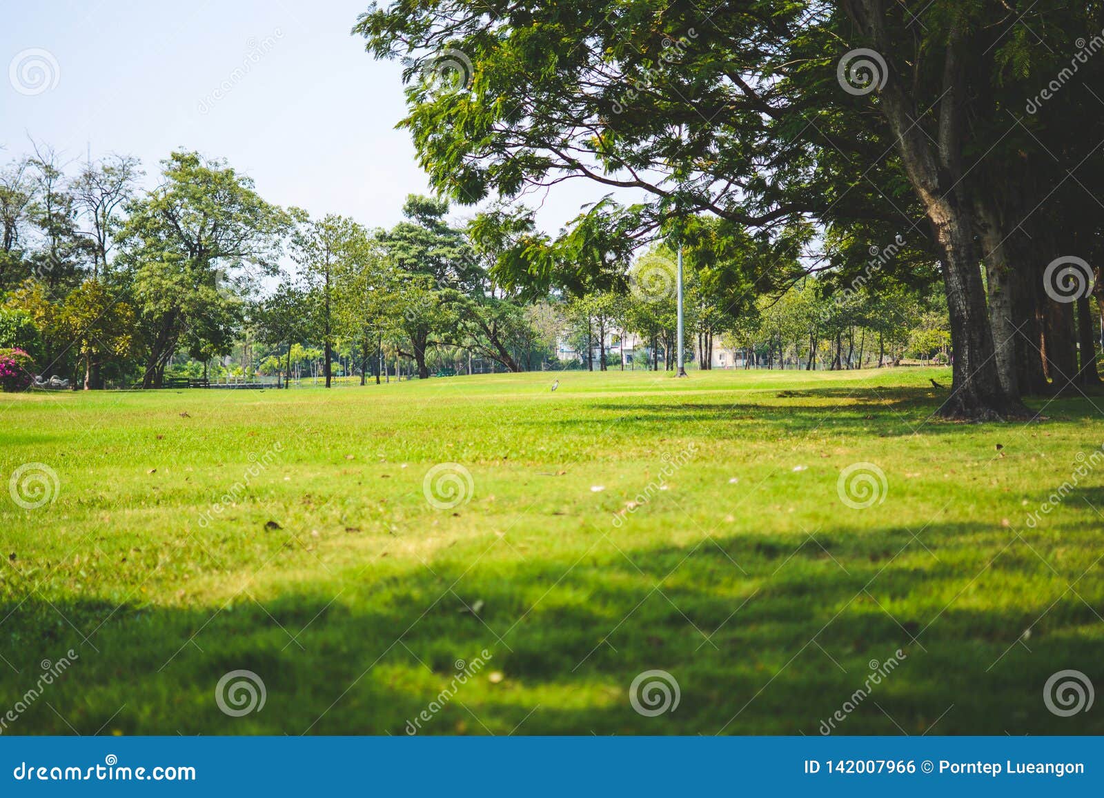 4,344,960 Park Background Stock Photos - Free & Royalty-Free Stock Photos  from Dreamstime