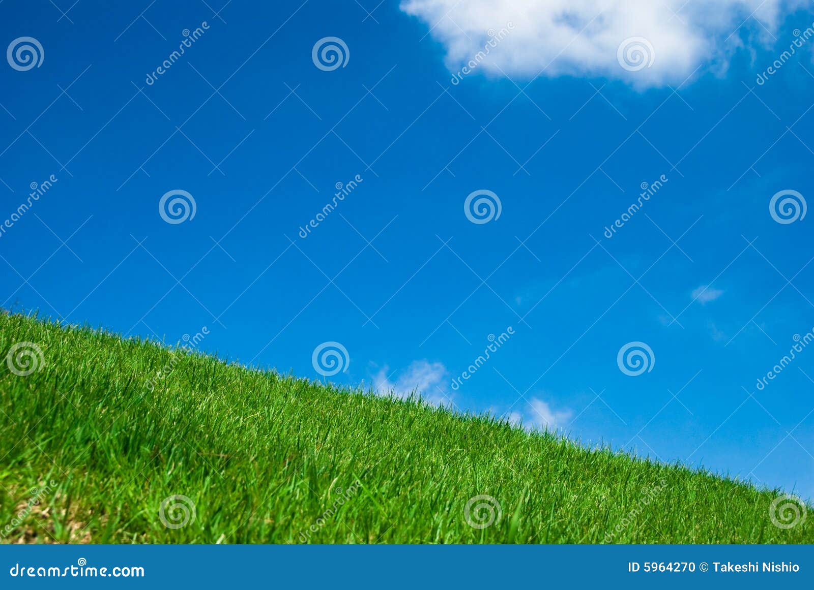 Green Grass Under The Blue Sky Stock Photo Image Of Meadow
