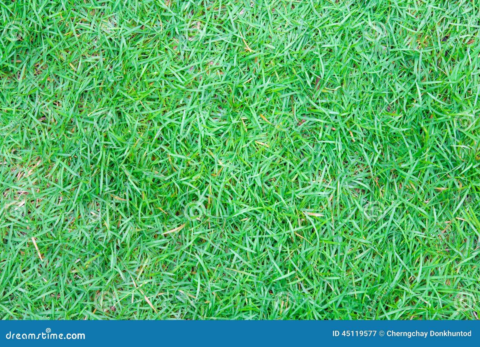 95 Wallpaper Green Kosong Images & Pictures My