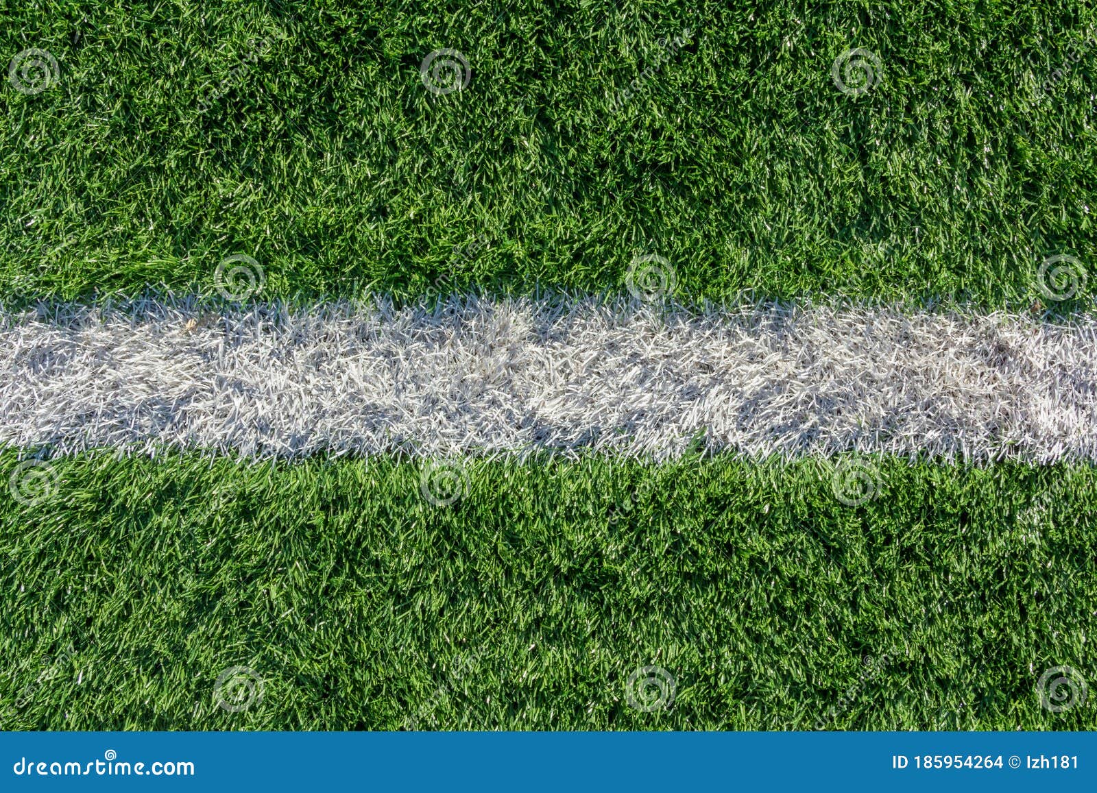 football ground grass