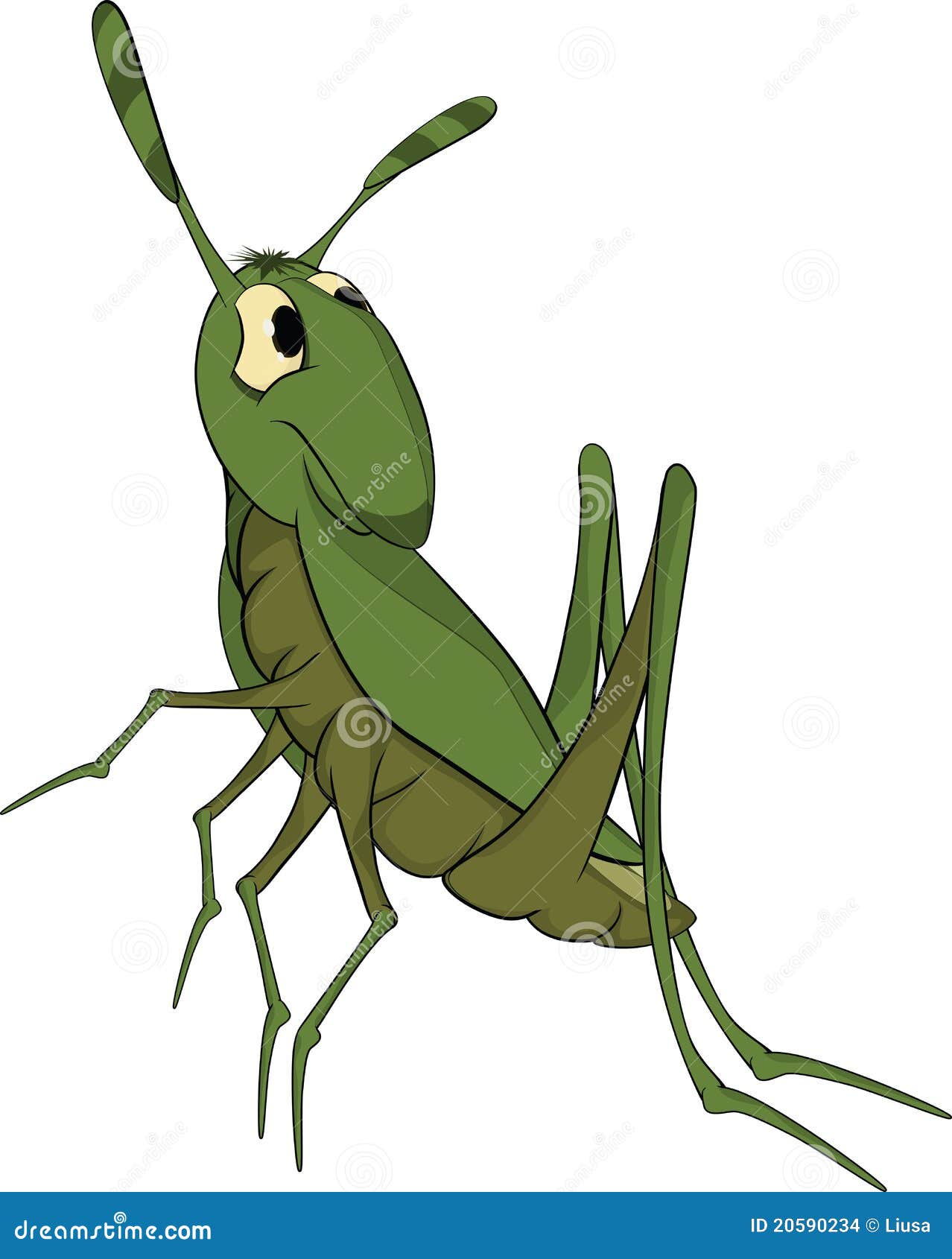 Green grasshopper. Cartoon stock vector. Illustration of ...