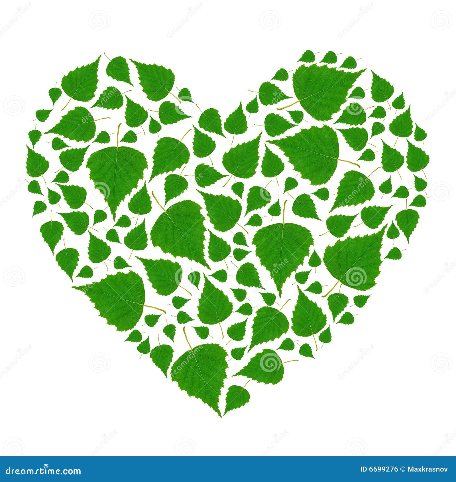Green Heart stock photo. Image of passion, natural, beautiful 6699276