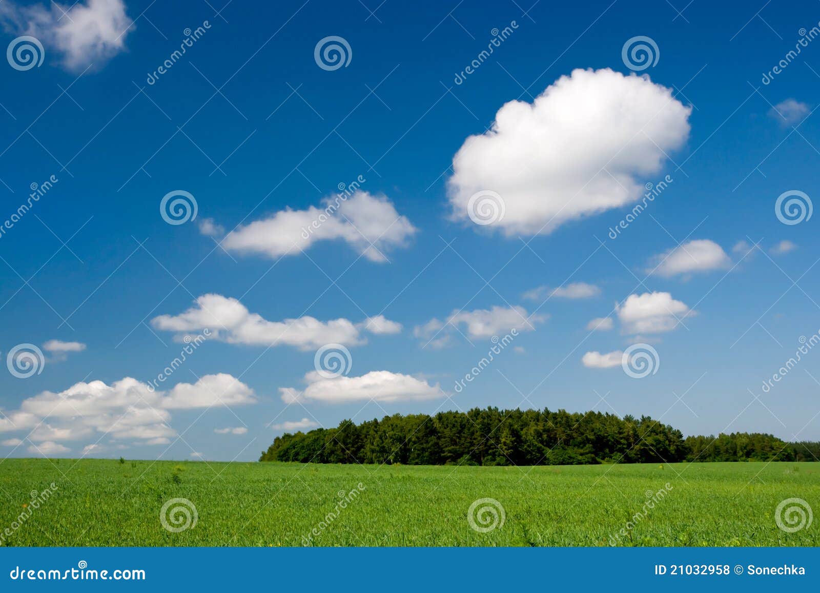 Hill stock image. Image of field, blue, freshness, cloudscape - 13264359