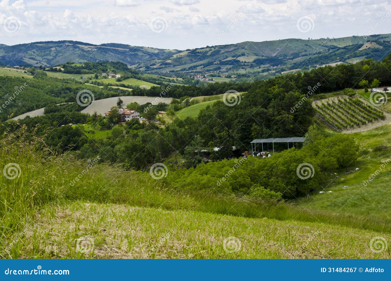 green hills - appennini modenesi