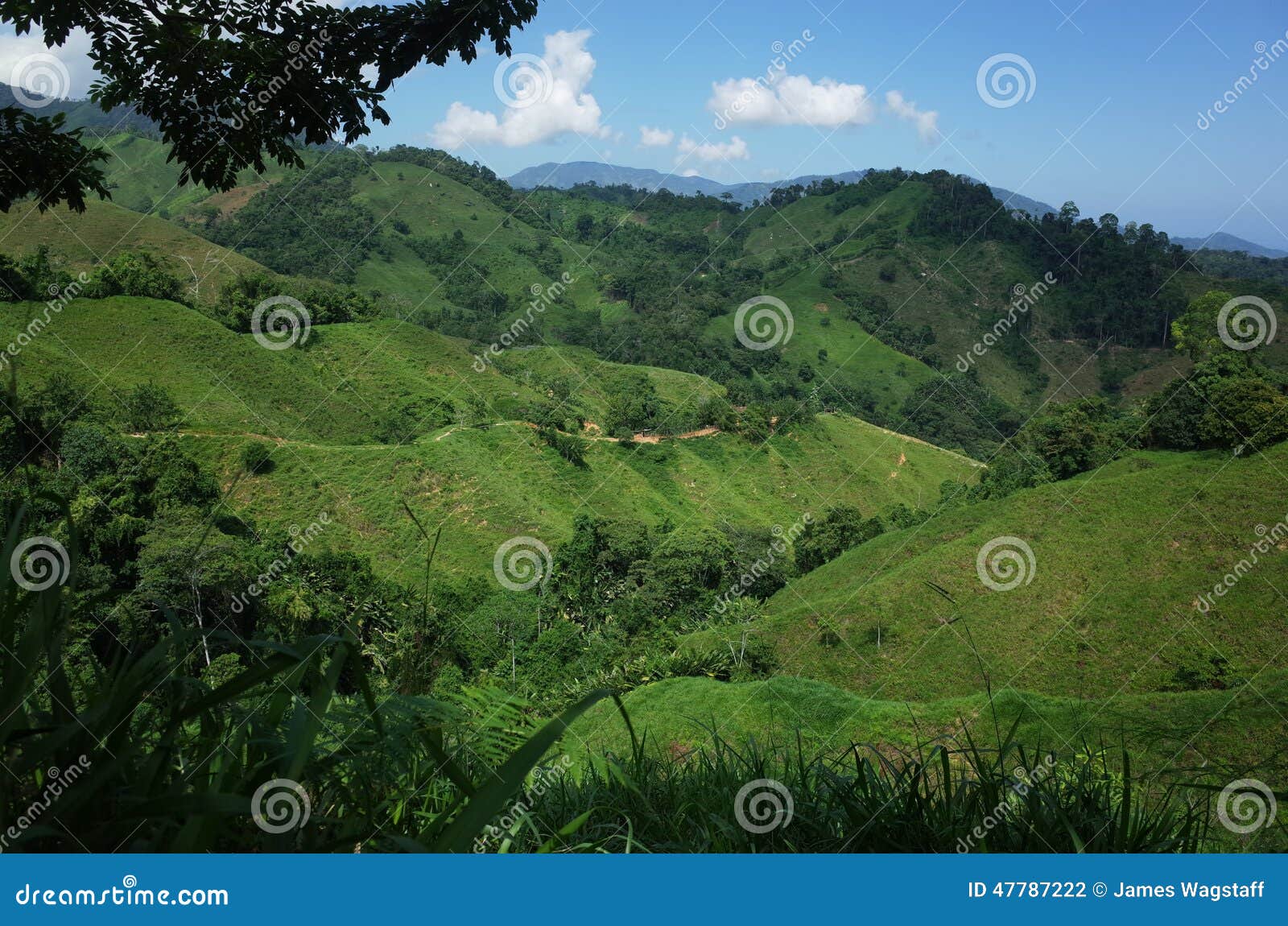 green hills of the sierra nevada, colombia